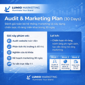 Audit & Marketing Plan