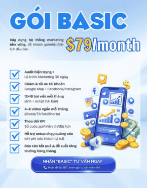 GÓI BASIC - Social Media Marketing - $79/month